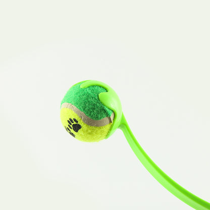 Fetch Happens